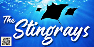 The Stingrays